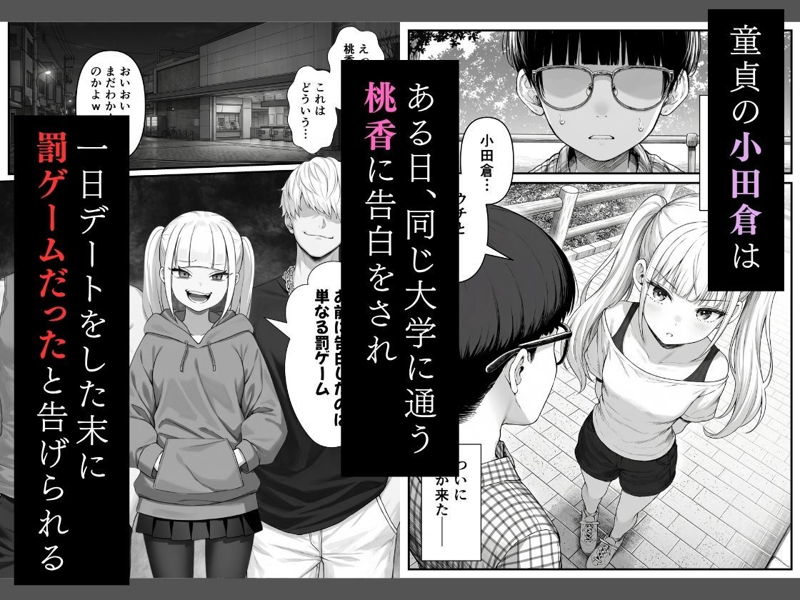 d_817595jp-001